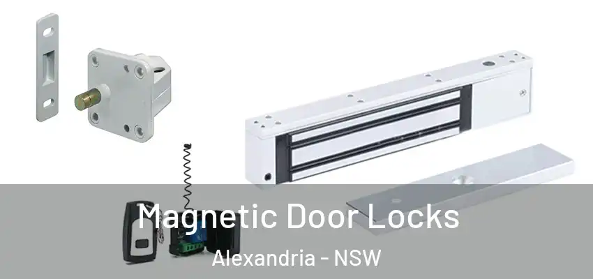Magnetic Door Locks Alexandria - NSW