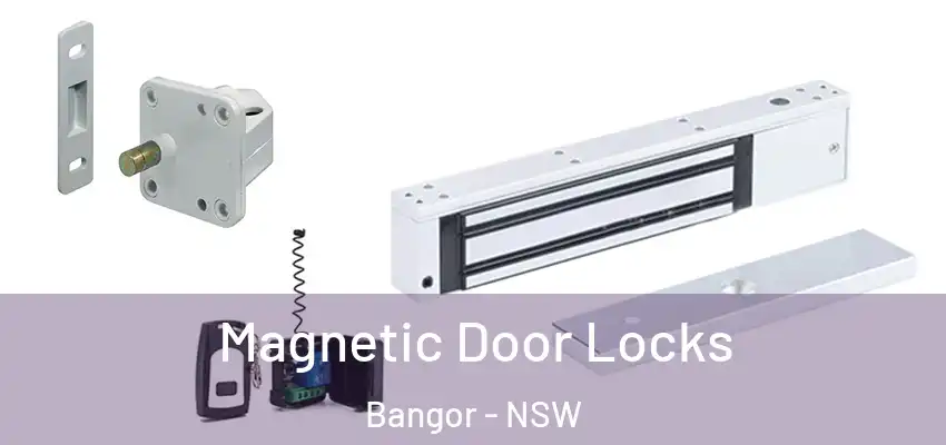 Magnetic Door Locks Bangor - NSW