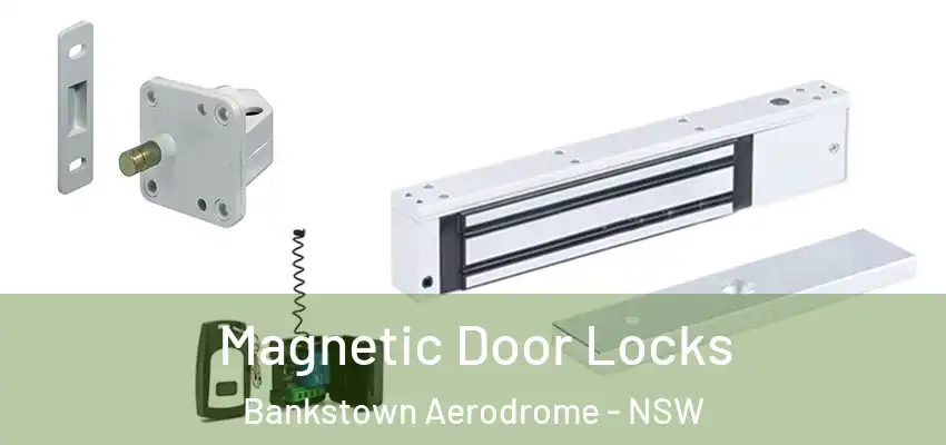 Magnetic Door Locks Bankstown Aerodrome - NSW
