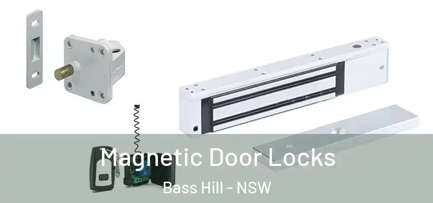 Magnetic Door Locks Bass Hill - NSW