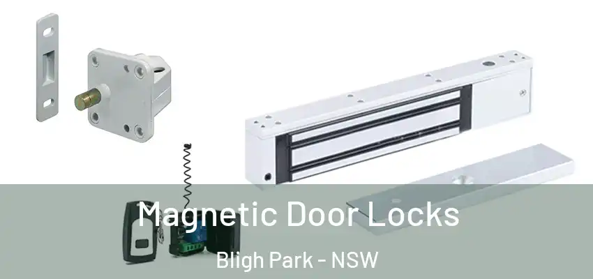 Magnetic Door Locks Bligh Park - NSW