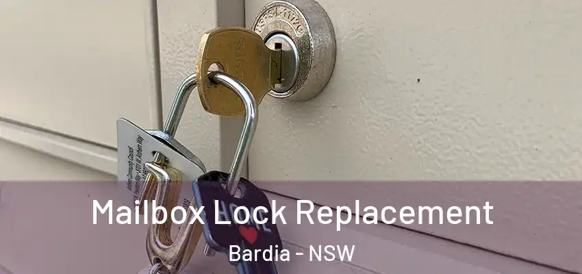 Mailbox Lock Replacement Bardia - NSW