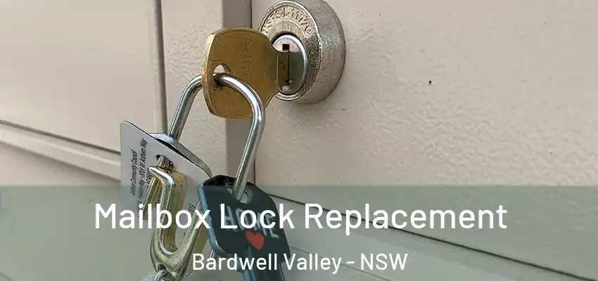 Mailbox Lock Replacement Bardwell Valley - NSW