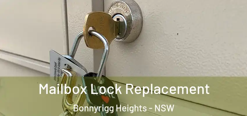 Mailbox Lock Replacement Bonnyrigg Heights - NSW