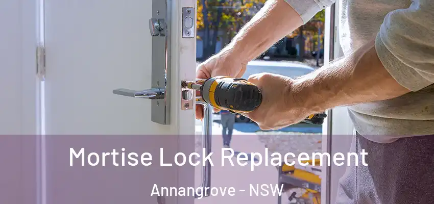 Mortise Lock Replacement Annangrove - NSW