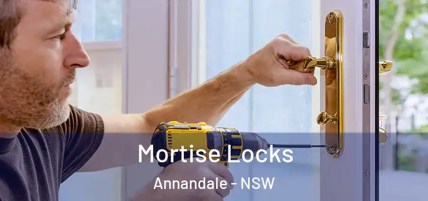 Mortise Locks Annandale - NSW