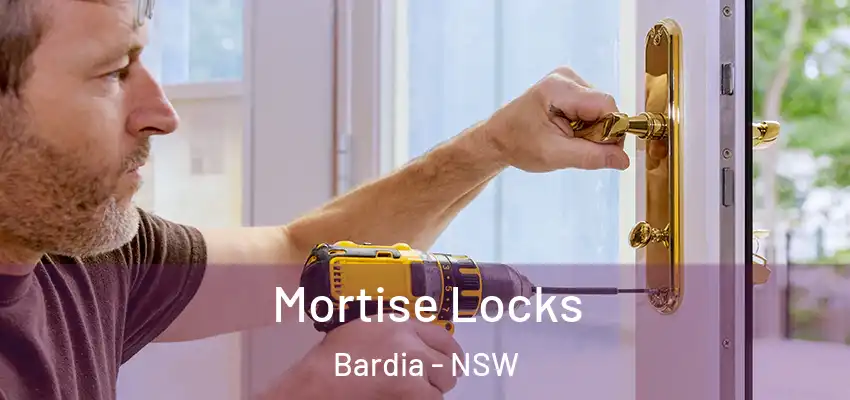 Mortise Locks Bardia - NSW
