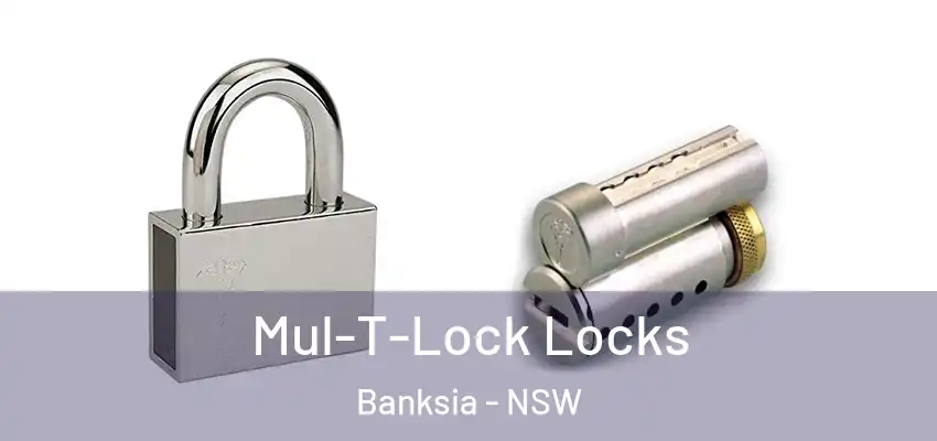 Mul-T-Lock Locks Banksia - NSW
