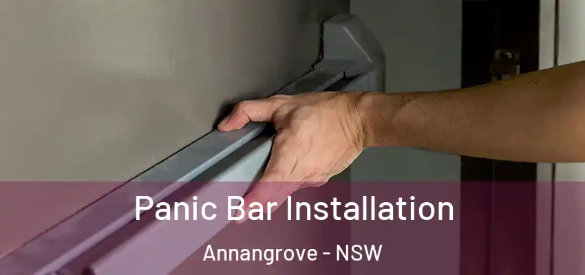 Panic Bar Installation Annangrove - NSW