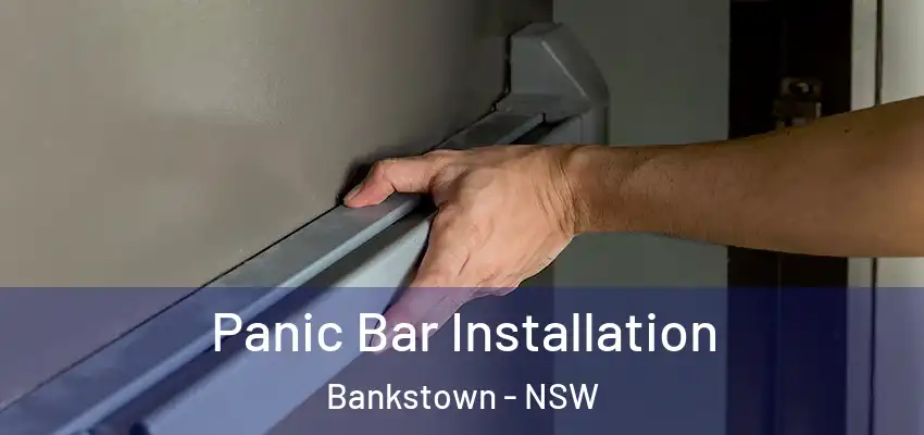 Panic Bar Installation Bankstown - NSW