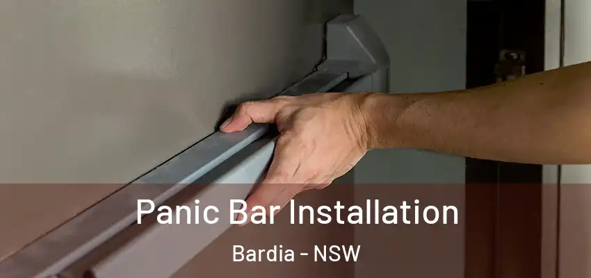 Panic Bar Installation Bardia - NSW