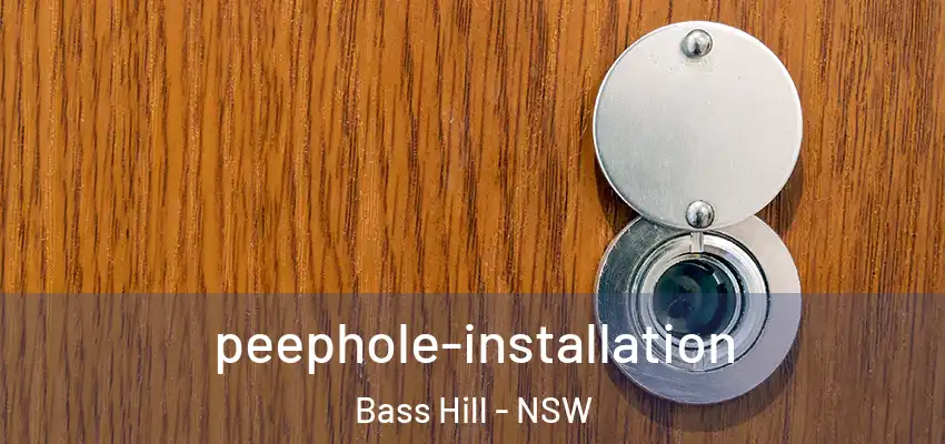 peephole-installation Bass Hill - NSW