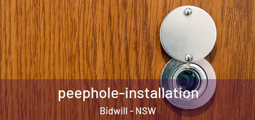 peephole-installation Bidwill - NSW