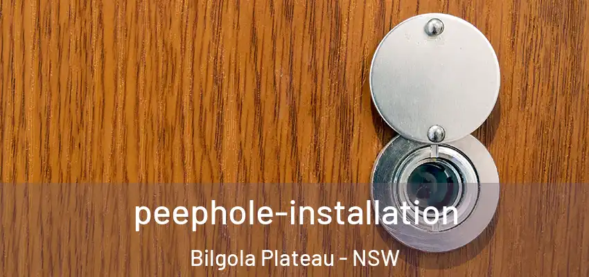 peephole-installation Bilgola Plateau - NSW