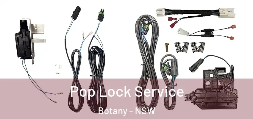 Pop Lock Service Botany - NSW