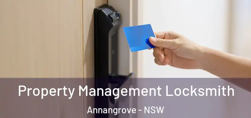 Property Management Locksmith Annangrove - NSW