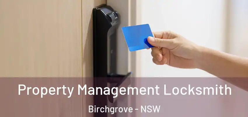 Property Management Locksmith Birchgrove - NSW