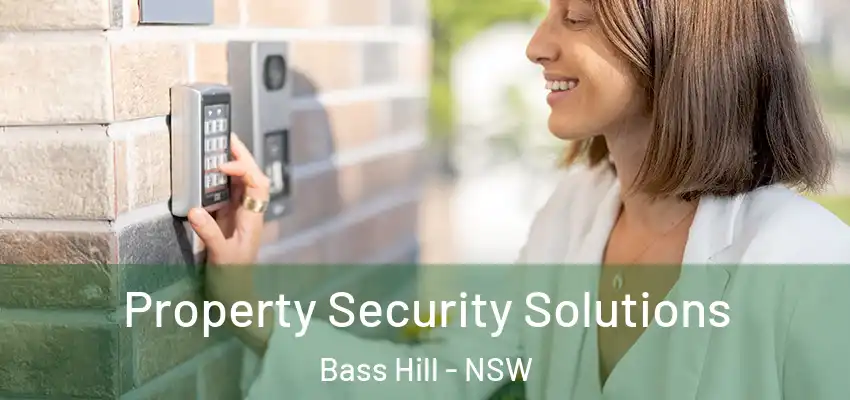 Property Security Solutions Bass Hill - NSW