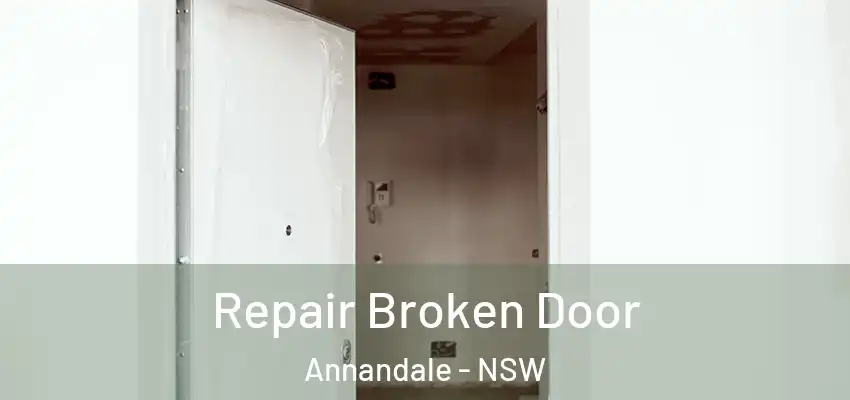 Repair Broken Door Annandale - NSW