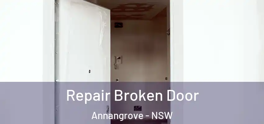 Repair Broken Door Annangrove - NSW