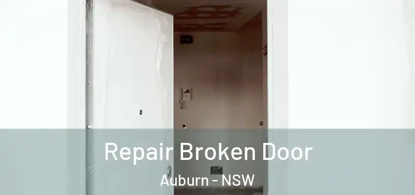 Repair Broken Door Auburn - NSW