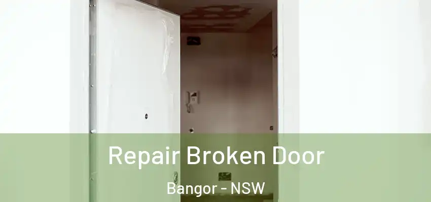 Repair Broken Door Bangor - NSW