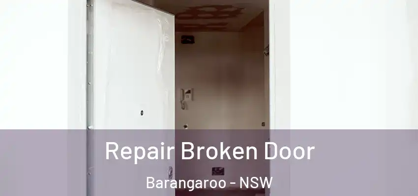 Repair Broken Door Barangaroo - NSW