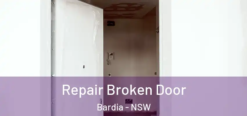 Repair Broken Door Bardia - NSW