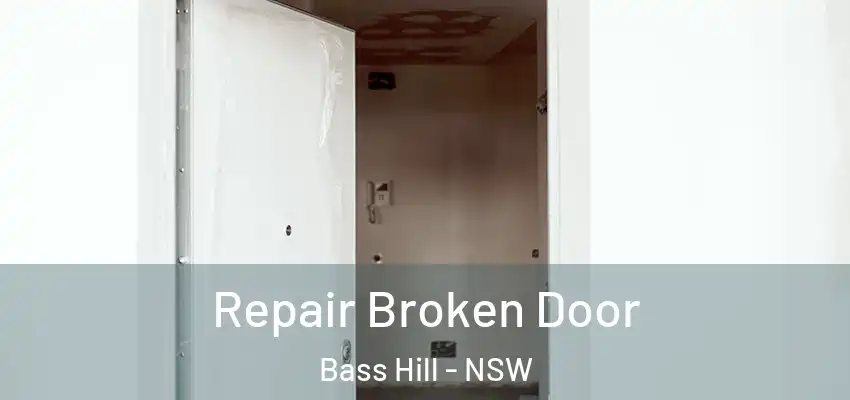 Repair Broken Door Bass Hill - NSW