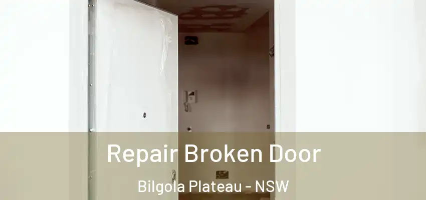 Repair Broken Door Bilgola Plateau - NSW