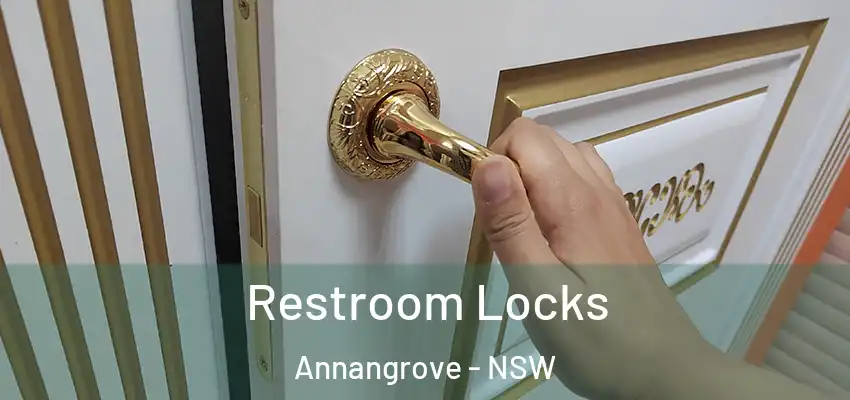 Restroom Locks Annangrove - NSW