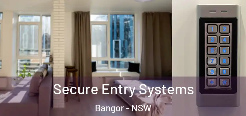 Secure Entry Systems Bangor - NSW