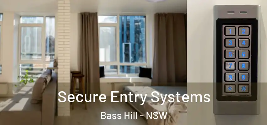 Secure Entry Systems Bass Hill - NSW