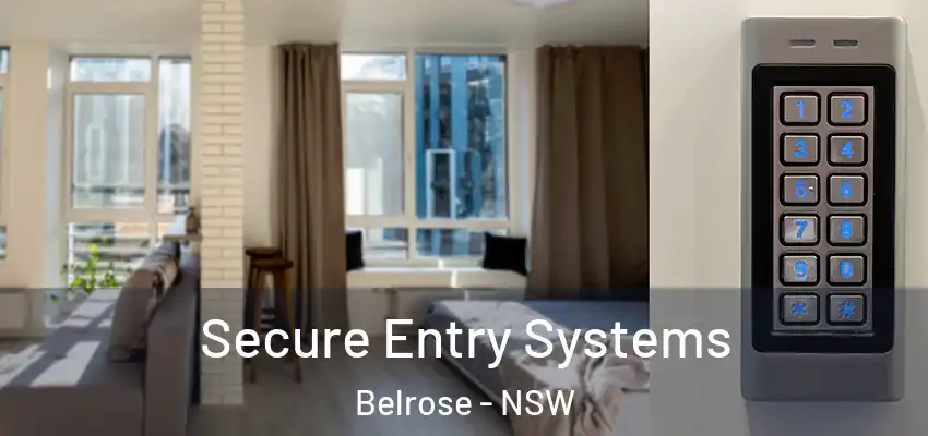 Secure Entry Systems Belrose - NSW