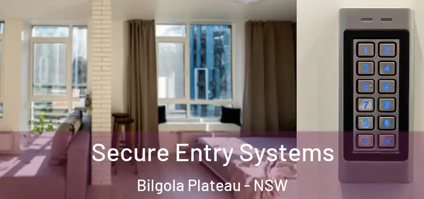 Secure Entry Systems Bilgola Plateau - NSW