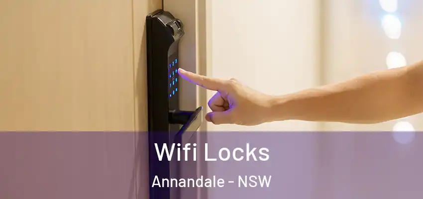 Wifi Locks Annandale - NSW