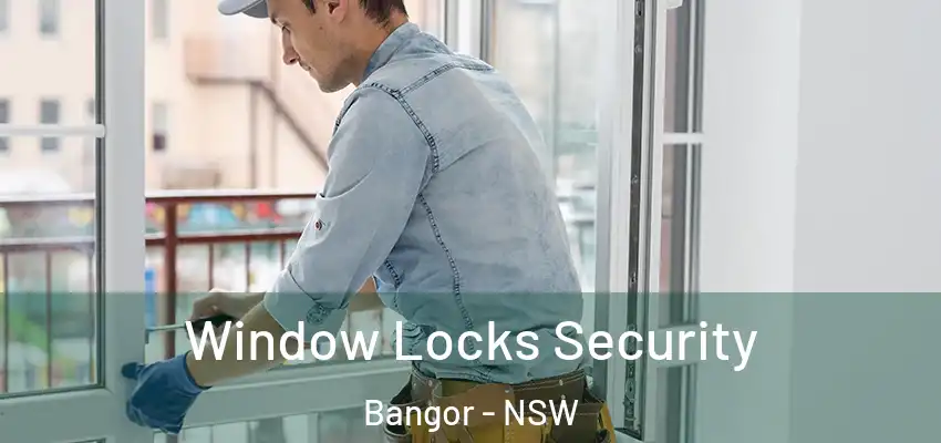 Window Locks Security Bangor - NSW