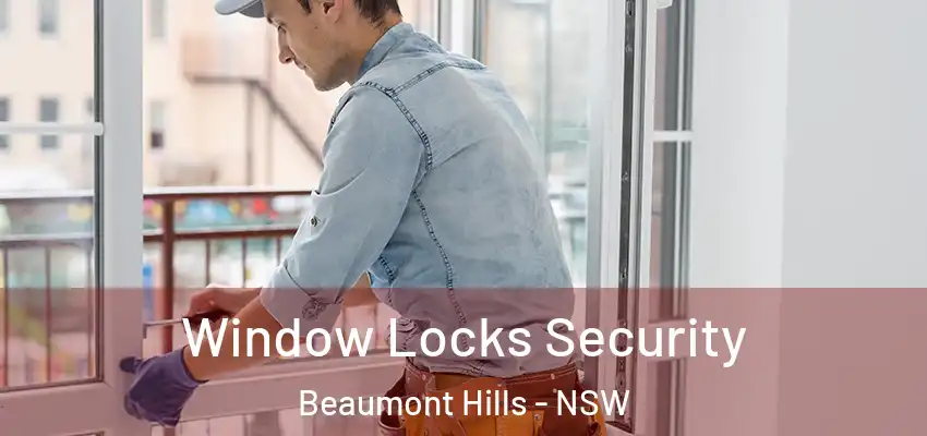 Window Locks Security Beaumont Hills - NSW